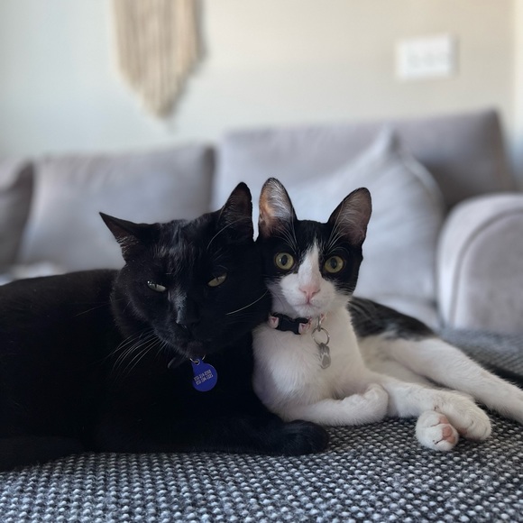 Meet My Family 🌲 - Picture 7 of 16